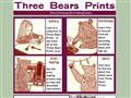 Three Bears Prints