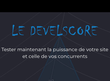 Develscore mesure de performance